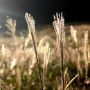 물결속으로 이미지