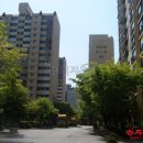 분당-331 이미지