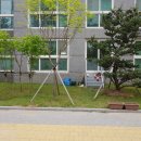 키즈더원어린이집 이미지