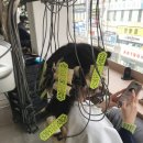 대명사 | 예쁜 봄 만끽해요 !! 여성스러움의 대명사 엘리자벳펌 후기인증