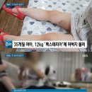 달폭스