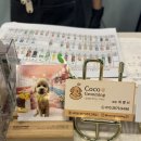 그루밍 멈머 이미지