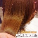 시연재뉴헤어 이미지