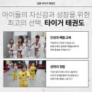 국가대표 타이거 태권스쿨 이미지