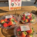 알로큰농장 이미지