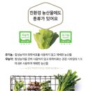 가자농산물