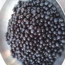 고향에봄 이미지