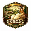 들녘 표고농장