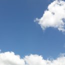 참뼈감자탕 이미지