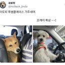뚝섬플레이스