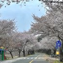 보령-주산-1 이미지