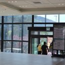 국내 충남 태안 골프여행, 가성비 골프 스톤비치cc 그린피 45,000원 라운딩후기, (솔라고CC, 로얄링스CC)