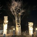 누룩꽃피는날(익산영등점) 이미지