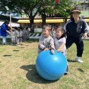 [행사]🌈오늘은 우리들의 날! 행복가득 미니운동회🎈-공굴리기 게임 이미지