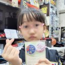 수룡관합기도 유림합기스쿨 이미지