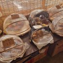 연천회관 이미지