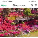 서산 인지면 모월리 산19-7 이미지