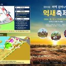 평택 원평나루 억새축제 이미지