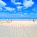 지상낙원 이미지