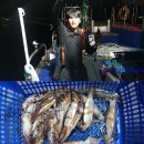 강구바다 이미지