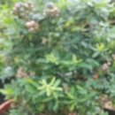 온암농장 이미지