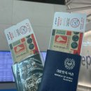 남방아 | 중국 상하이 | 중국남방항공 탑승 후기 / 상하이 호텔 추천