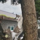 바다와산 | 창밖으로 펼쳐진 바다와 산, 강원도 후기