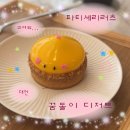 화신빌딩 | 대전 둔산동 놀거리 파티세리러츠, 귀여운 꿈돌이디저트!