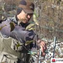 유인목장 이미지