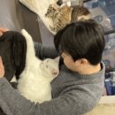 빌려줘 홈짐 | 1