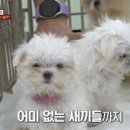 이경민농장 이미지
