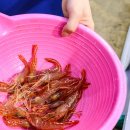 송대회식당
