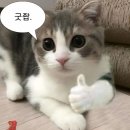 적성도서관 | 싸피 13기 비전공 서울 합격 후기, 에세이 / 적성검사 / 면접 / 준비기간 등