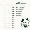 나무와베이커리