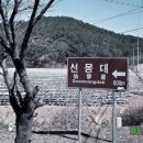 선몽대 이미지