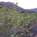 완도농장 이미지