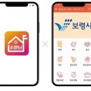 보령난