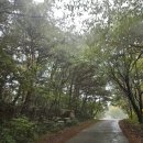 낙조전망대(패러글라이딩) 이미지