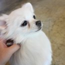 뜰가득한 네이버블로그