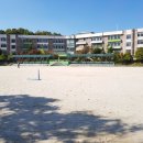 서울신방학초등학교 이미지