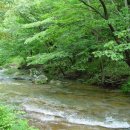 팔덕면사무소 이미지