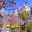 청수약수터 이미지