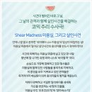 연극 ''쉬어매드니스'' 이미지