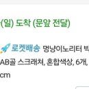 멍냥이노리터 이미지