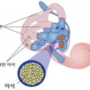 장민욱뇌비게이션신경과의원 이미지