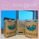 백세견생 이미지