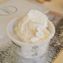 제주 아침미소목장 입장료 카페 카이막 맛집 비 오는날 방문 후기
