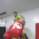 더헐크복싱 이미지