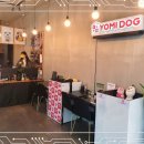 (주)요미스토리(요미독 강아지분양 요미캣 고양이분양 목동점) | 부산 말티푸 분양 성공 후기 썰 풉니다