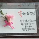 토토즐 댄스 이미지